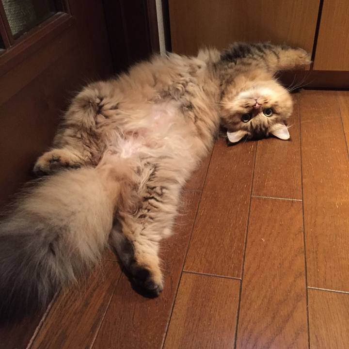 31092b5c 7b35 41f3 bb0f 912fd23a6a1c