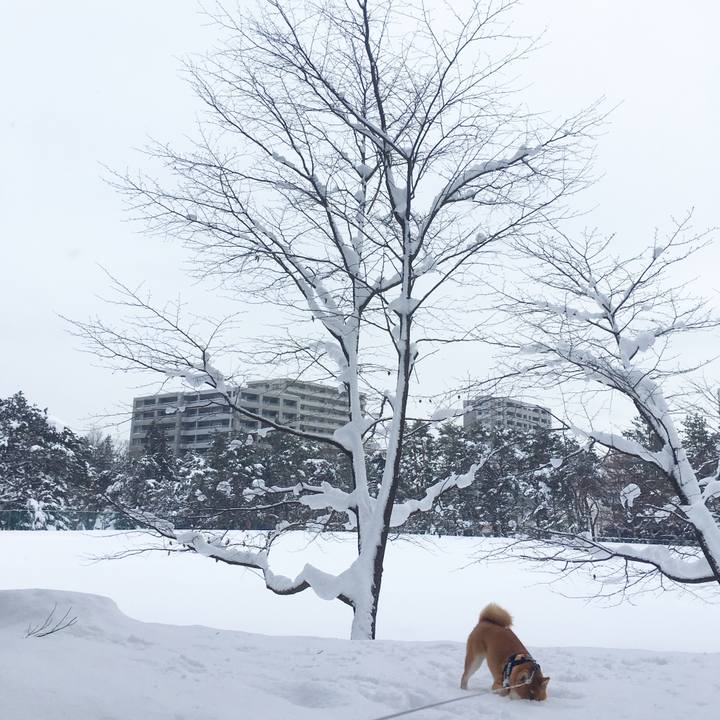 3109311a 9a7f 4665 b1f7 53babbd00b87