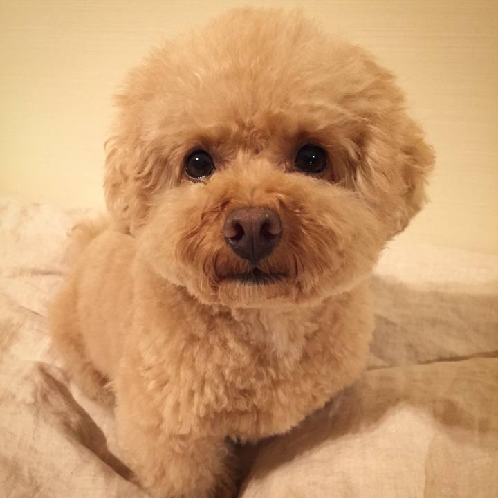 310a9705 174b 410a 8a20 ffc6ae461906