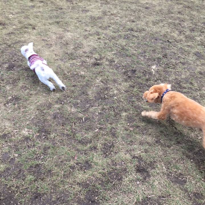 310afb32 041e 4680 9afb 341d93c23903