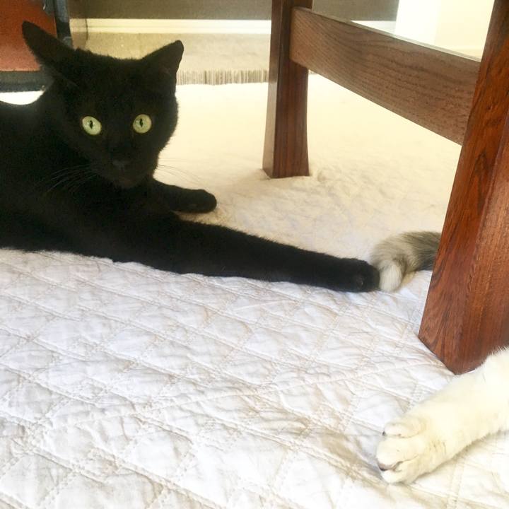 310c2e74 6d72 4d5c a78c daef67a664c1