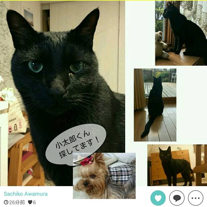 310c450c 4d93 4cfa b9d5 4615a203f933