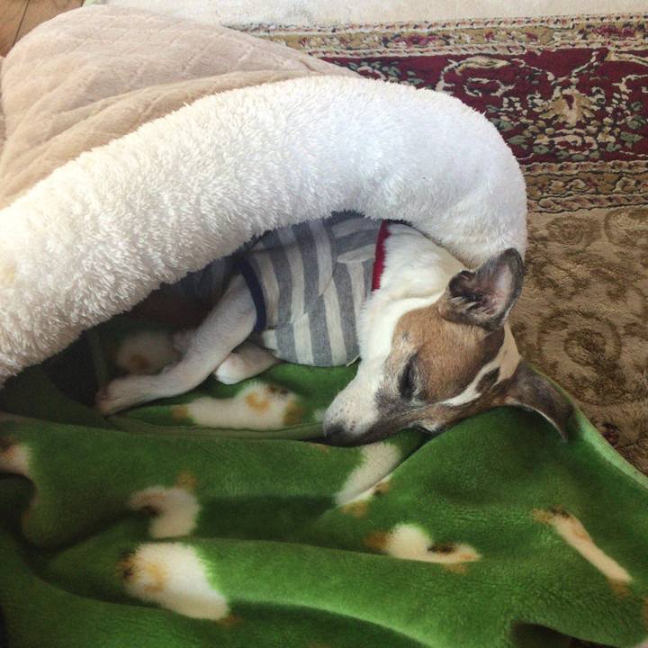 310c90ab 4661 4a0e b3ca fcd389319267