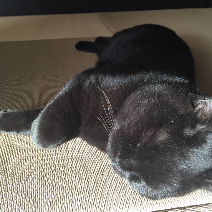 310d2e7b 883e 4488 9c9a 46af6a2329d4