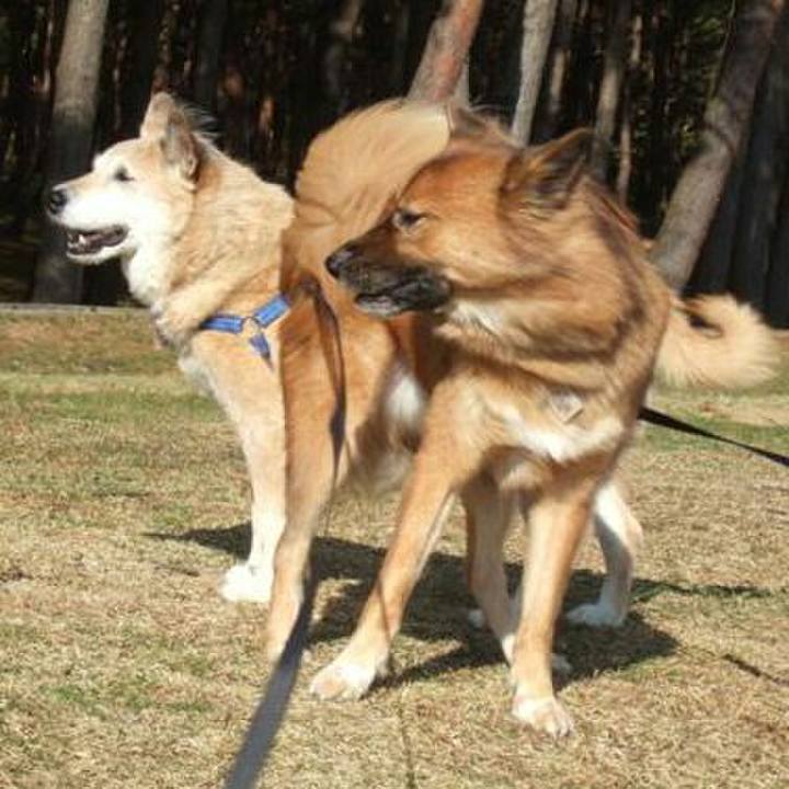 310db683 8ef2 4bef 90ba bfd64b09382d