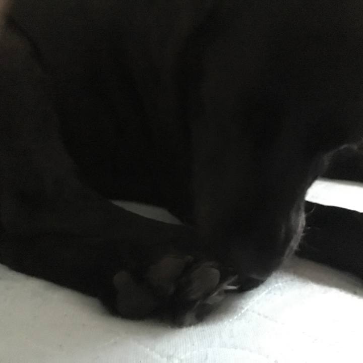 310e0875 835c 4c60 bf50 5cb64c0f3424