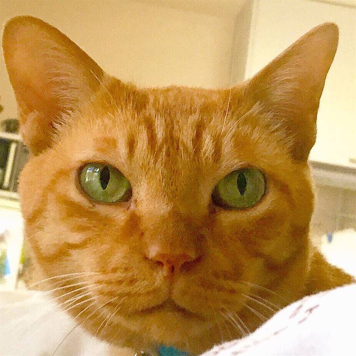 310e1961 df40 4fd7 ace6 e1d264bb2489