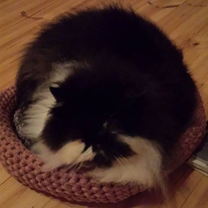 310e653d e3c4 4c98 a91f 1f820b3647d2