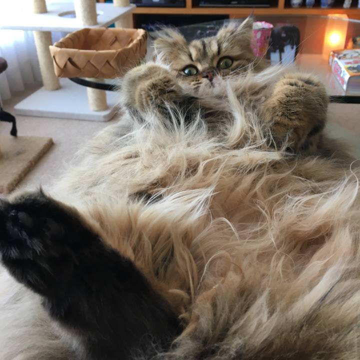 310ecc83 1dd3 427b acbb c865ce34dde7