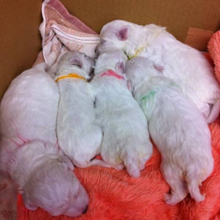 310f0575 fd65 4d68 97cf 1e6845bda387