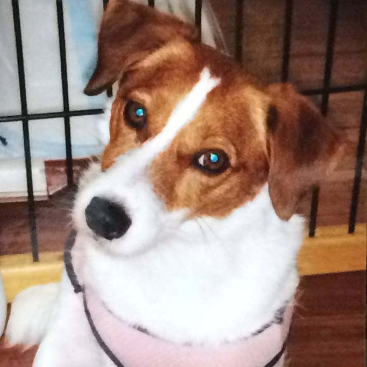 310f4e95 8318 4488 9f99 d679116cd577