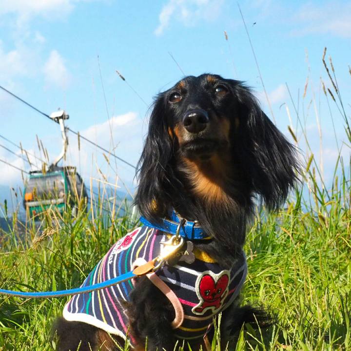 31100752 c742 4c30 ba19 e941f966a599