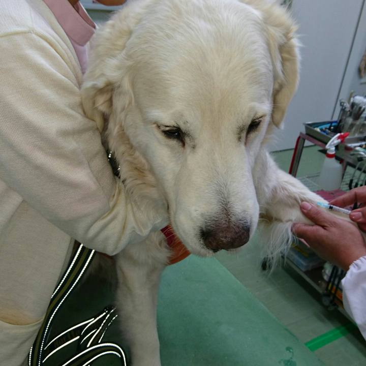 3111057c 1ec6 4112 b7d9 1dba1102f8e0