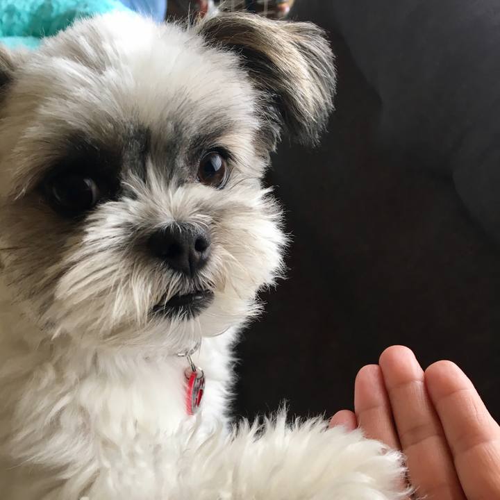 311152f7 61ee 4596 bf68 f007ee62387e