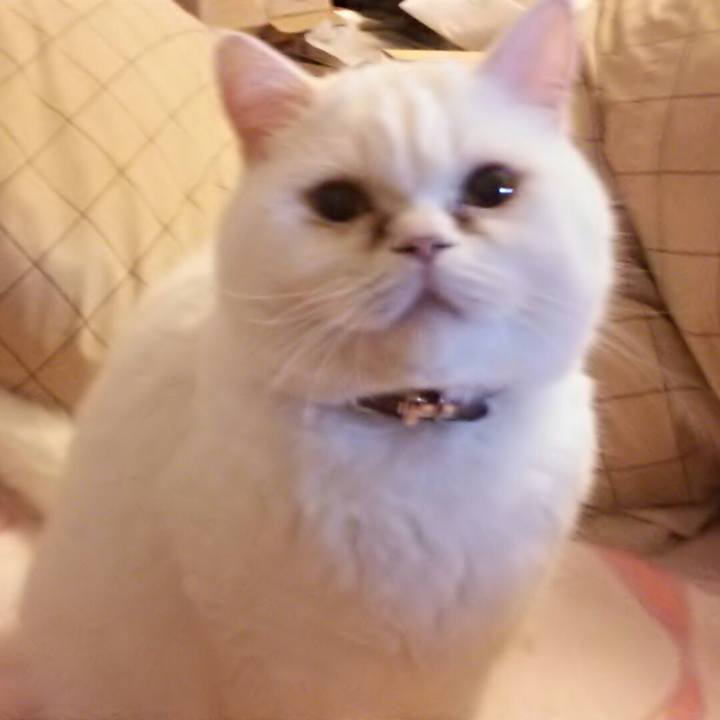 3112ef5c 76f7 4f4b b805 b6c322dc77fd