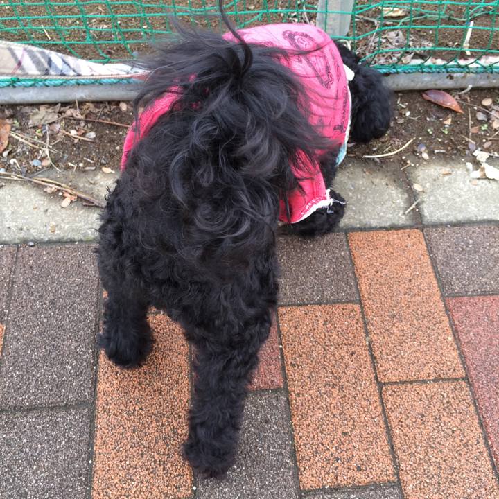 3113508c c126 4528 8be8 254759e0ce42