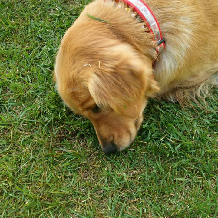 31135137 a29a 4626 848a 6cbd1c5217d1