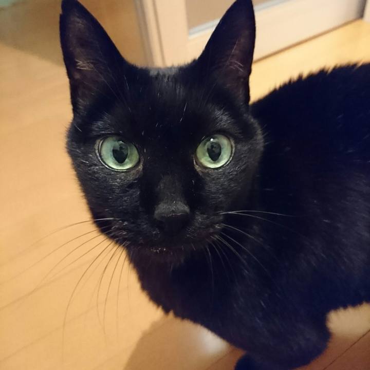 3114d9b4 150a 4887 9938 201c119d145a