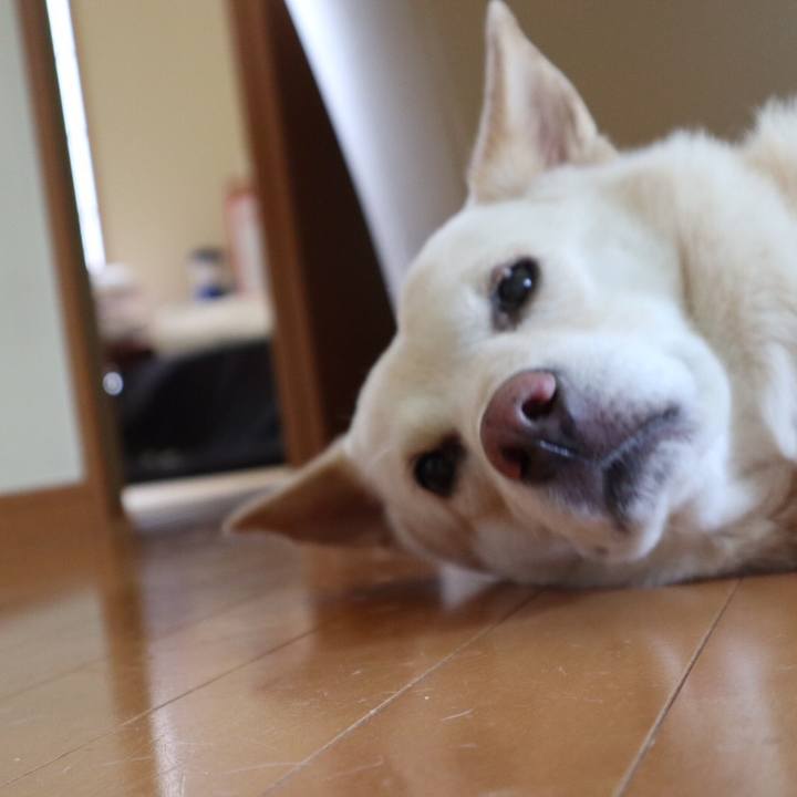 31152595 86eb 4a80 bf08 7da59ec18825