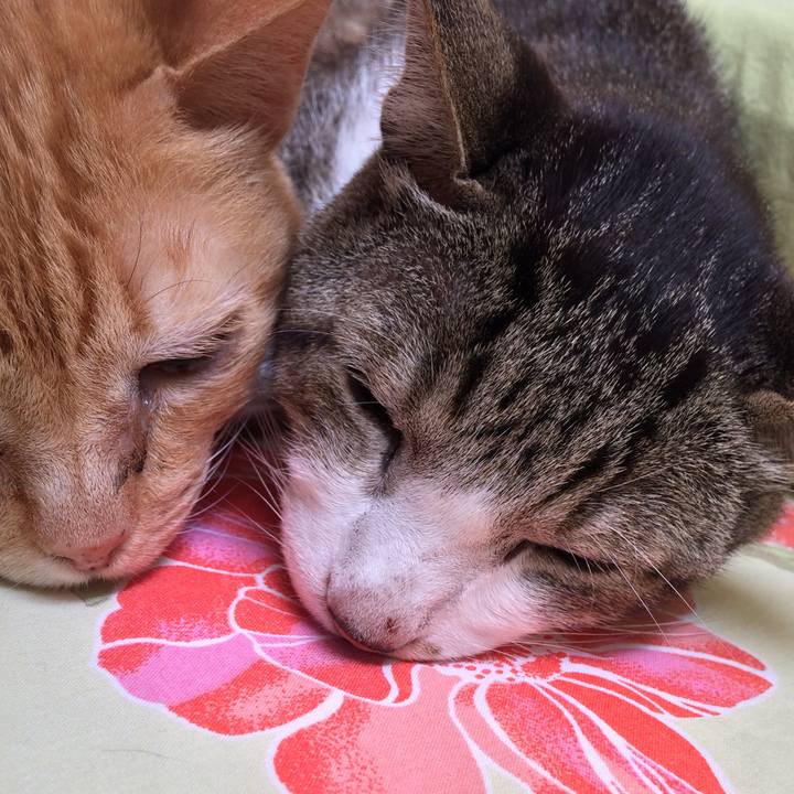 31157d02 29e9 493c 962b 6a6668c0e3f8