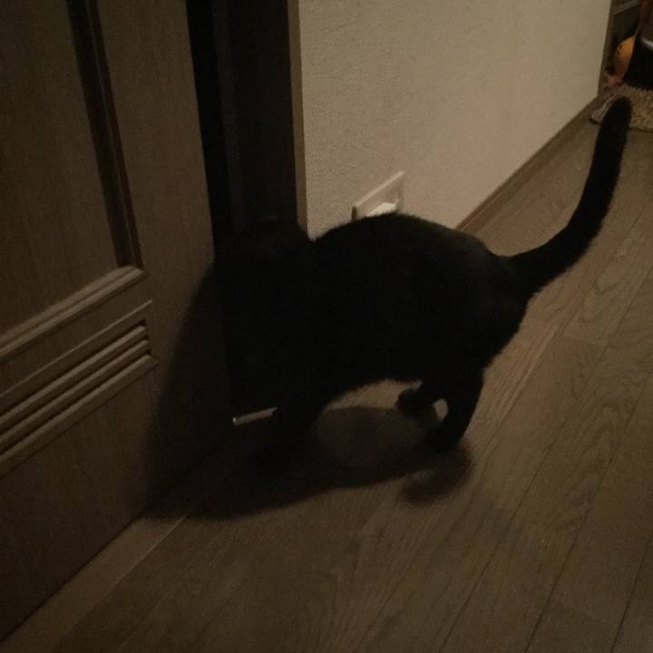 311584ef d6a7 45a3 809d 120986f41cbd