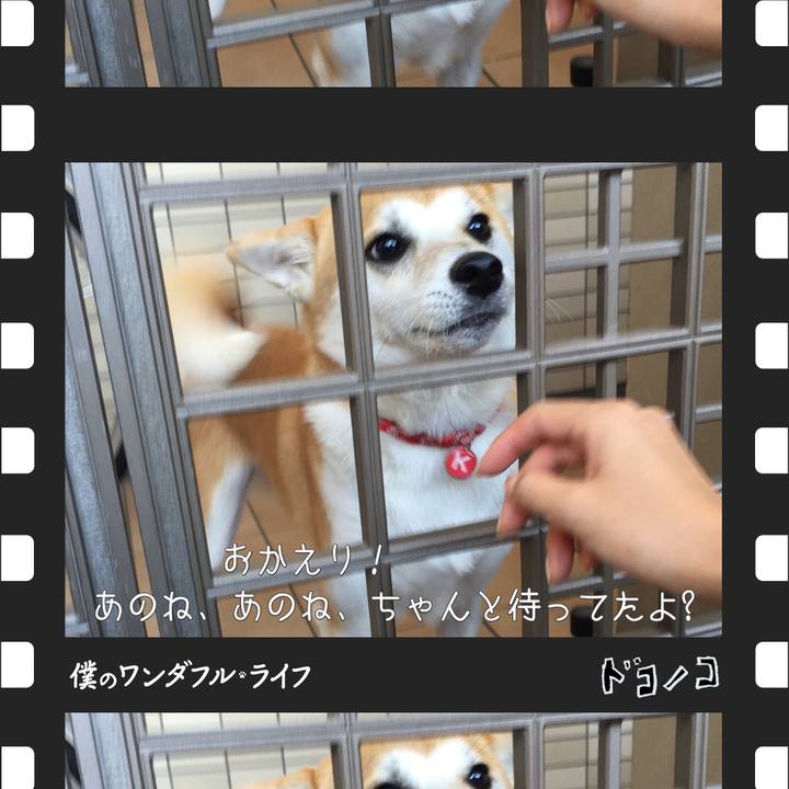 3116cda5 dd66 4a4f b715 0f59d894414c