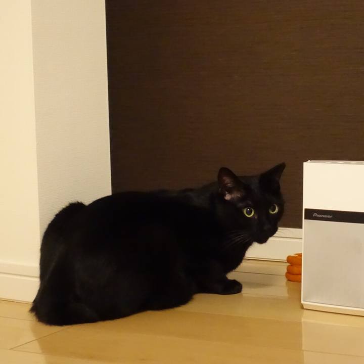 311750e0 f0e5 46b4 94ac cf6ccb71a19f