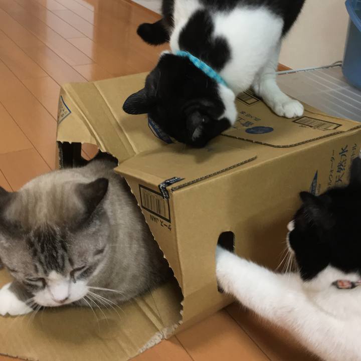 311859d1 7080 4a80 b839 b279767ea553