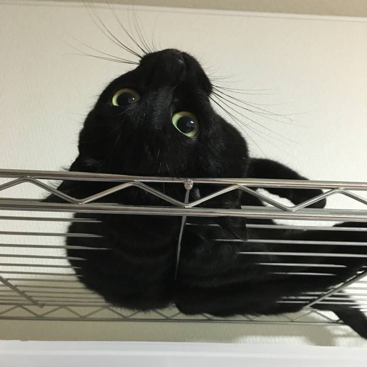 3118827d e3e3 4f0d 9199 fe1103d27093