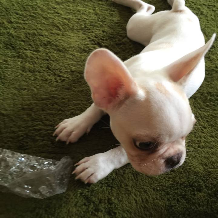 31192ed2 e166 468c a938 0180cf660cbf