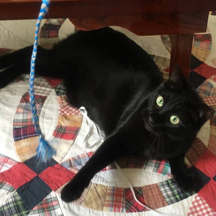 3119790a 71fb 4721 bec9 060fab83907d