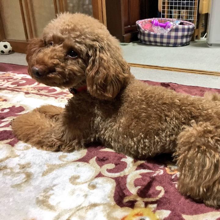 31198b91 bf58 450f a0aa 525183f5ded4