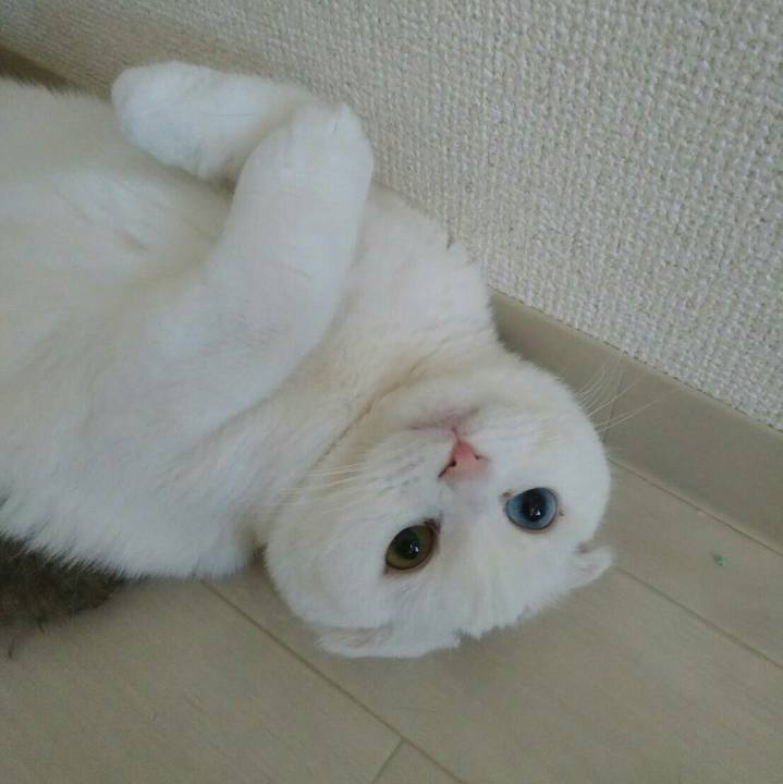 3119d8f0 f1e4 4efc 8009 370fbf14d6f1