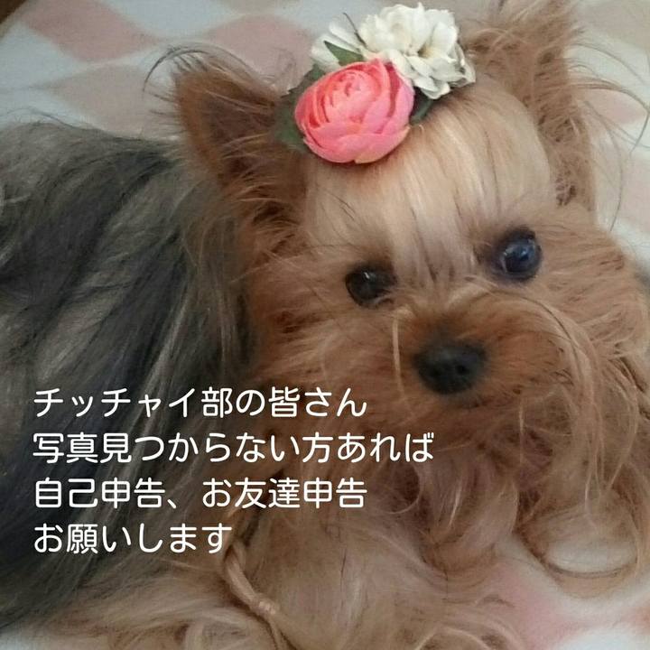 3119fc9e f614 47aa 894f ab5081214d93