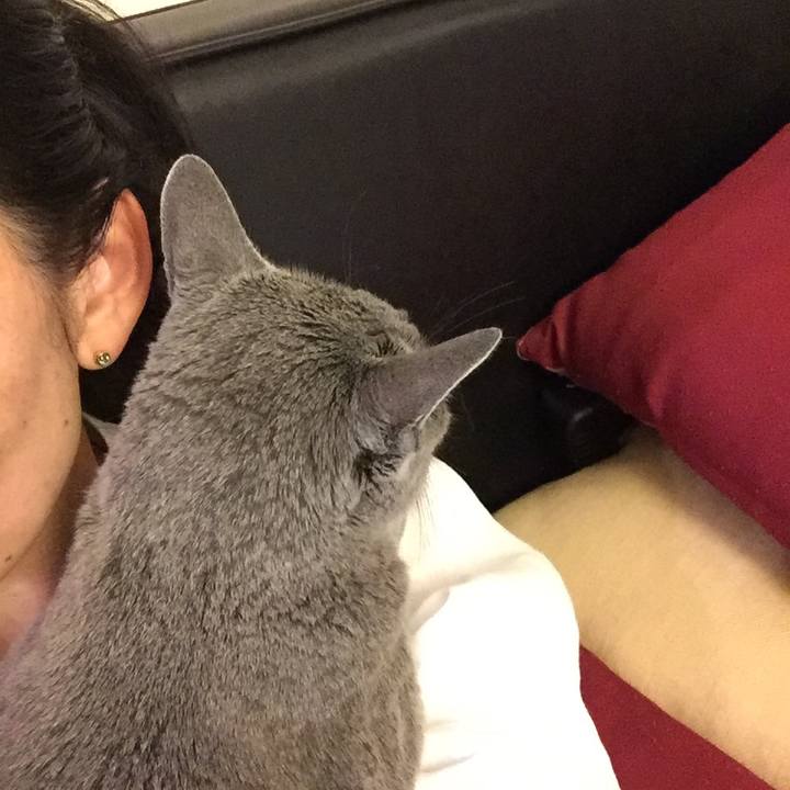 311a663f 3e18 4720 aea0 d655bf7d3519