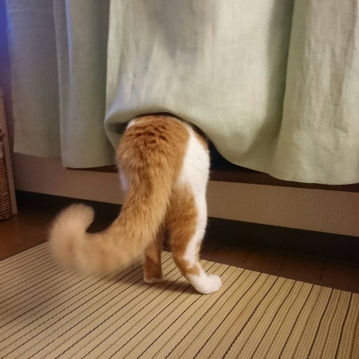 311aac15 53df 408c 8441 b34559142185