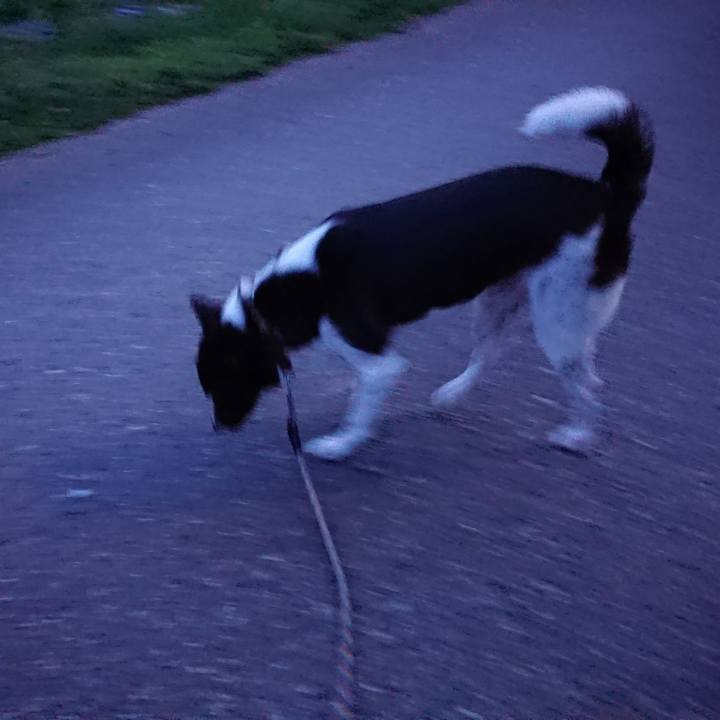 311ac7d5 fd50 498f b42d 45c31c6c4972