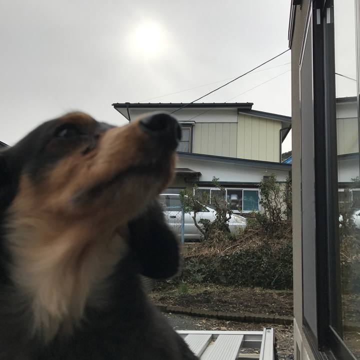 311aff51 bd6e 46ea a2c0 e69b5dca0bae