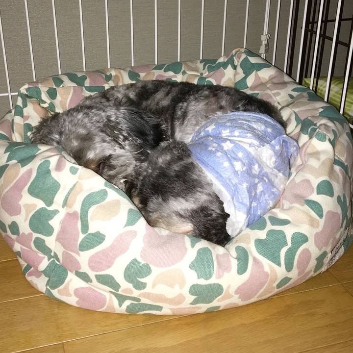 311b204f 9b84 4053 9896 494969b6772b