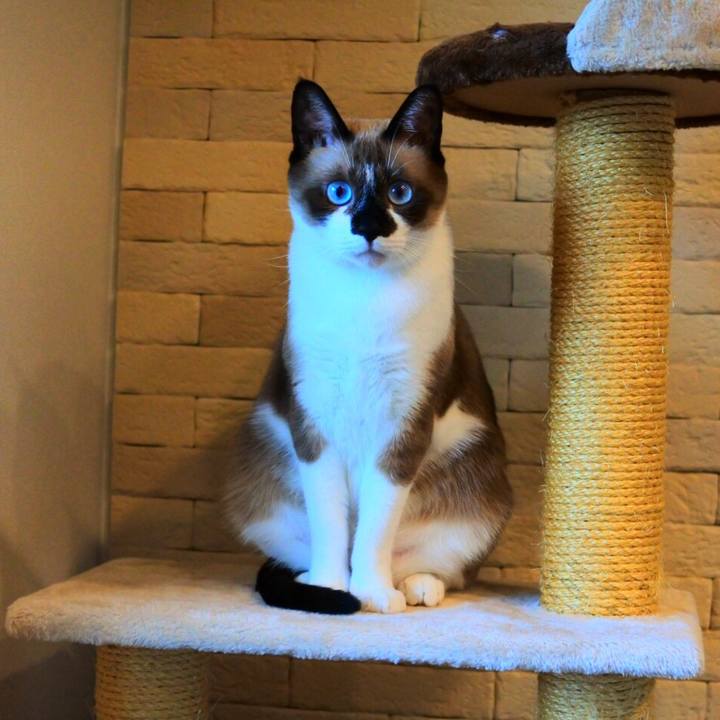 311b65e2 9c30 43dc af2f 0dad446f3f2e