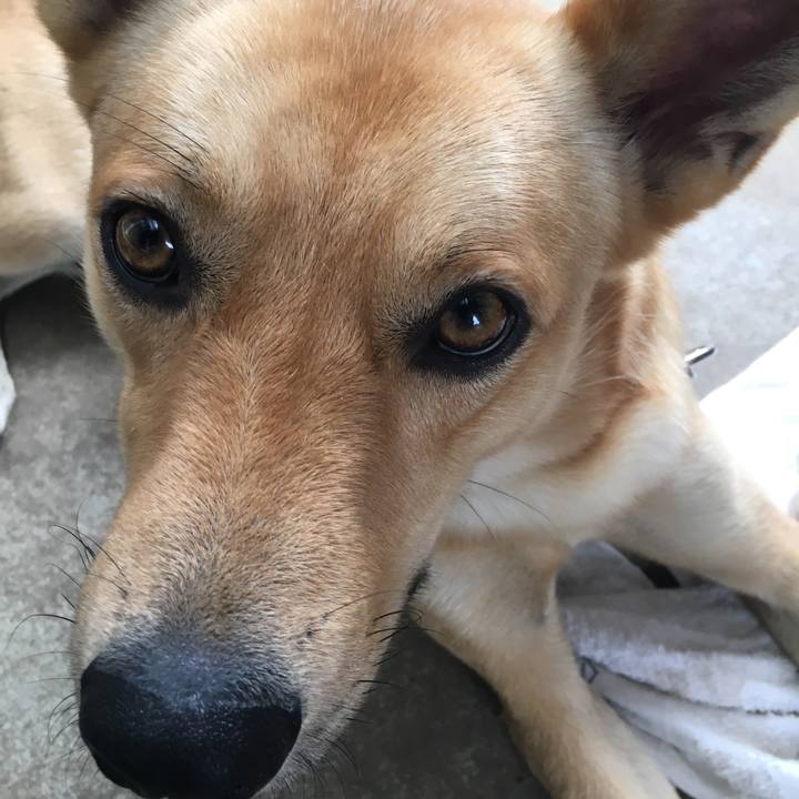 311c3e65 07a1 4995 b94f 605a5dc2b612