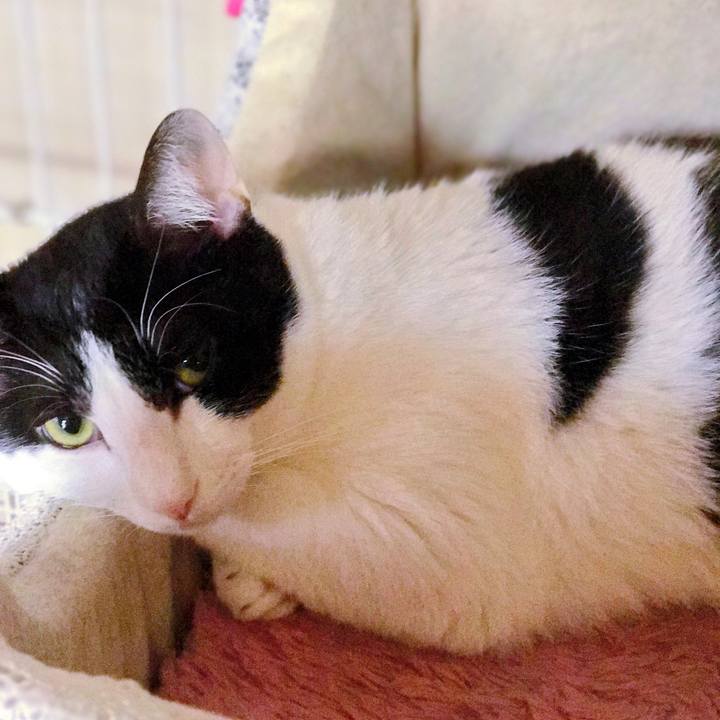 311c44d1 1f2d 43f6 8be4 206ad1238d13