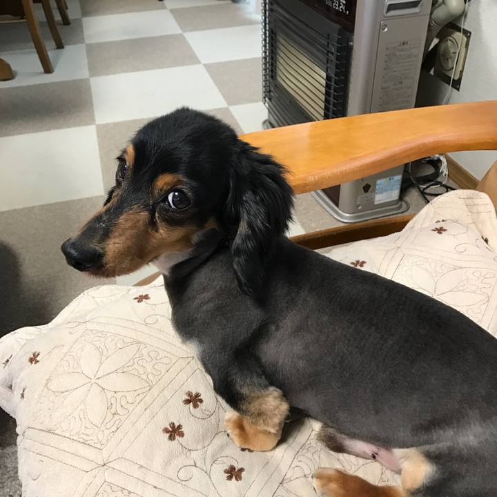 311c4af8 7d8c 4859 8b1d 35530f033578