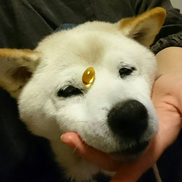 311c4fc6 9b0d 408d b5f9 baa17d516881