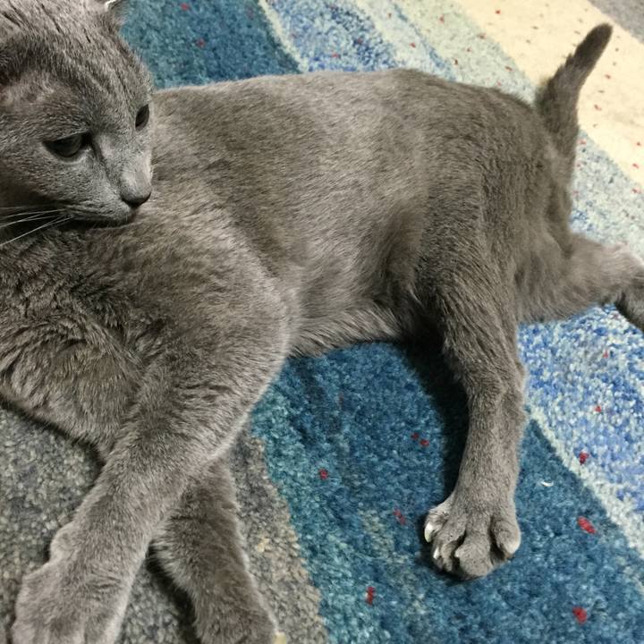 311d0ed8 292e 4fc9 8409 7399673ddc7b