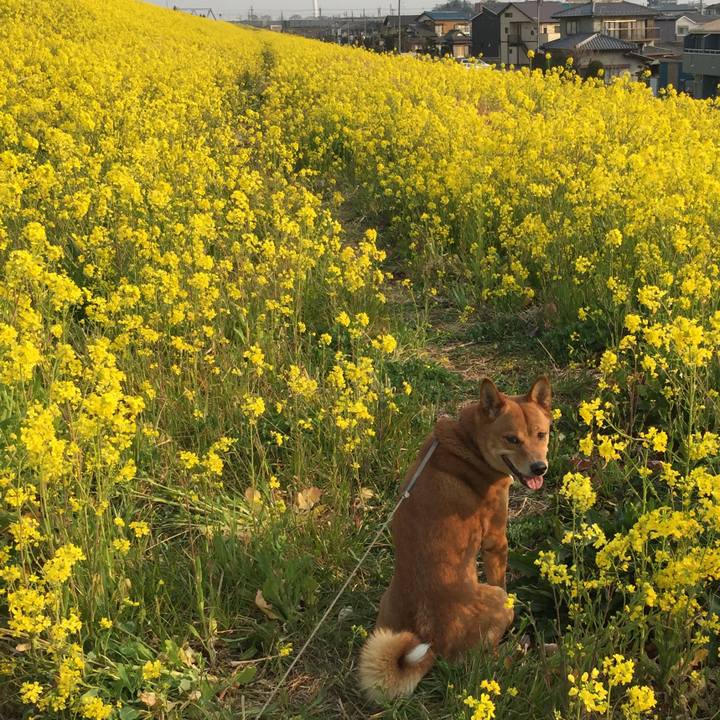 311d1940 17a9 401e 86de 3f0e8b69790e