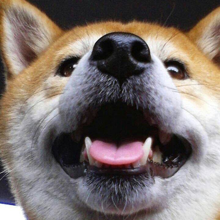 311d6bb3 c6e4 4704 94f3 48cd15ab8488