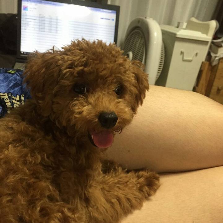 311d76bb 747c 47a4 8ccd 4edef5b9dd7d