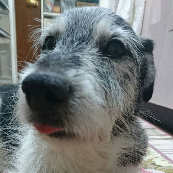 311d8066 22d2 434c 9f76 a01191d138df