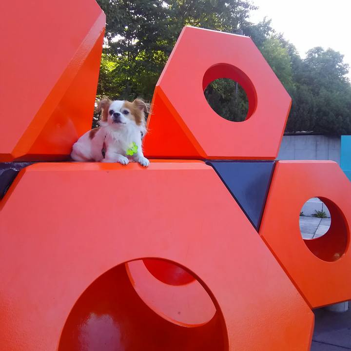 311e8b86 f677 4431 96ff 7b5cceeff2a7